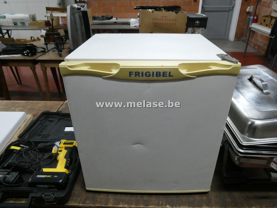 Diepvries "Figibel"