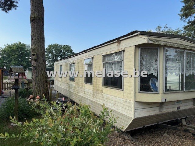 Wit-paarse loten 17/10/2025