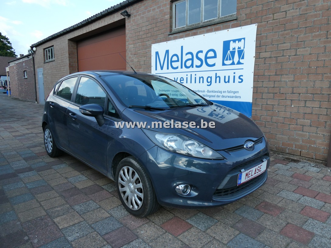Wit-grijze loten 31/10/2025
