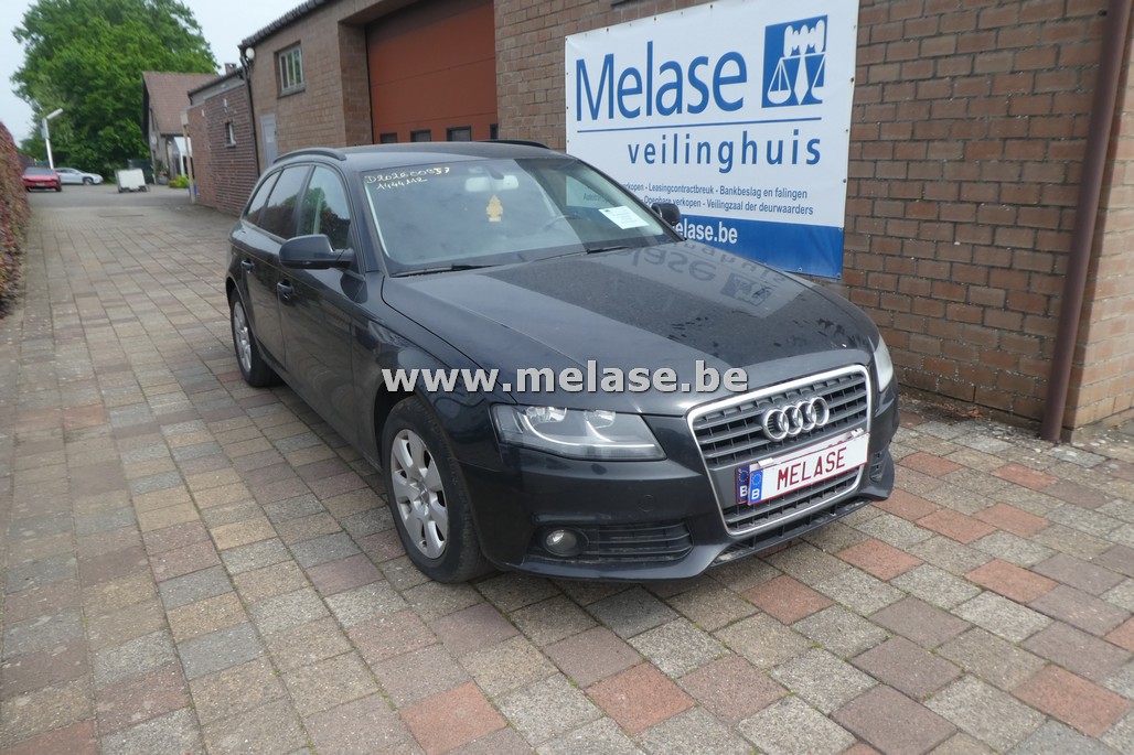 Wit-bruine loten 15/05/2026