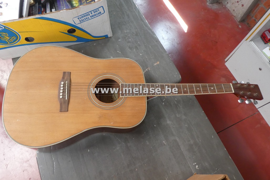 Gitaar "Red Hill W160N"