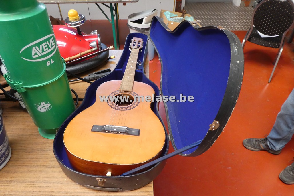 Gitaar met kofffer