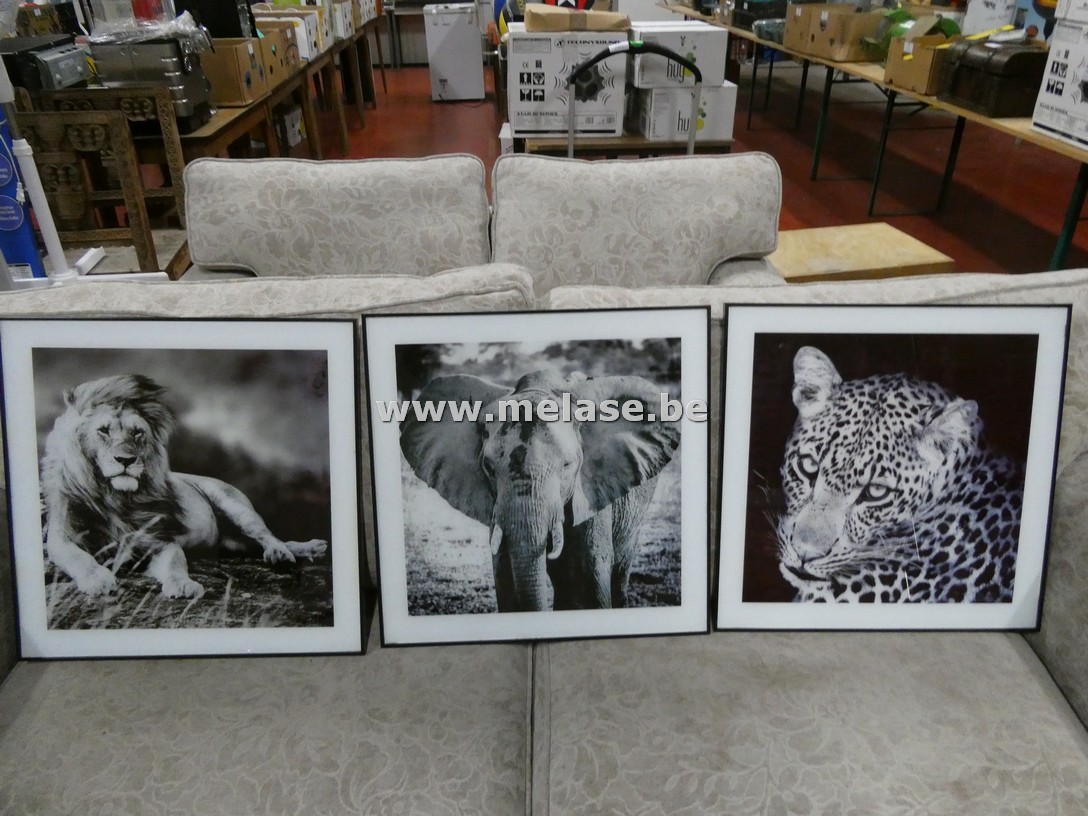 Dierenprenten in kader