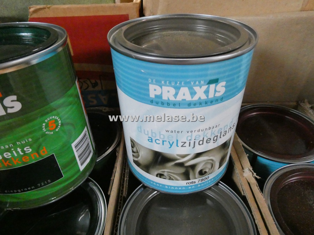 Zijdeglanslak "Praxis"