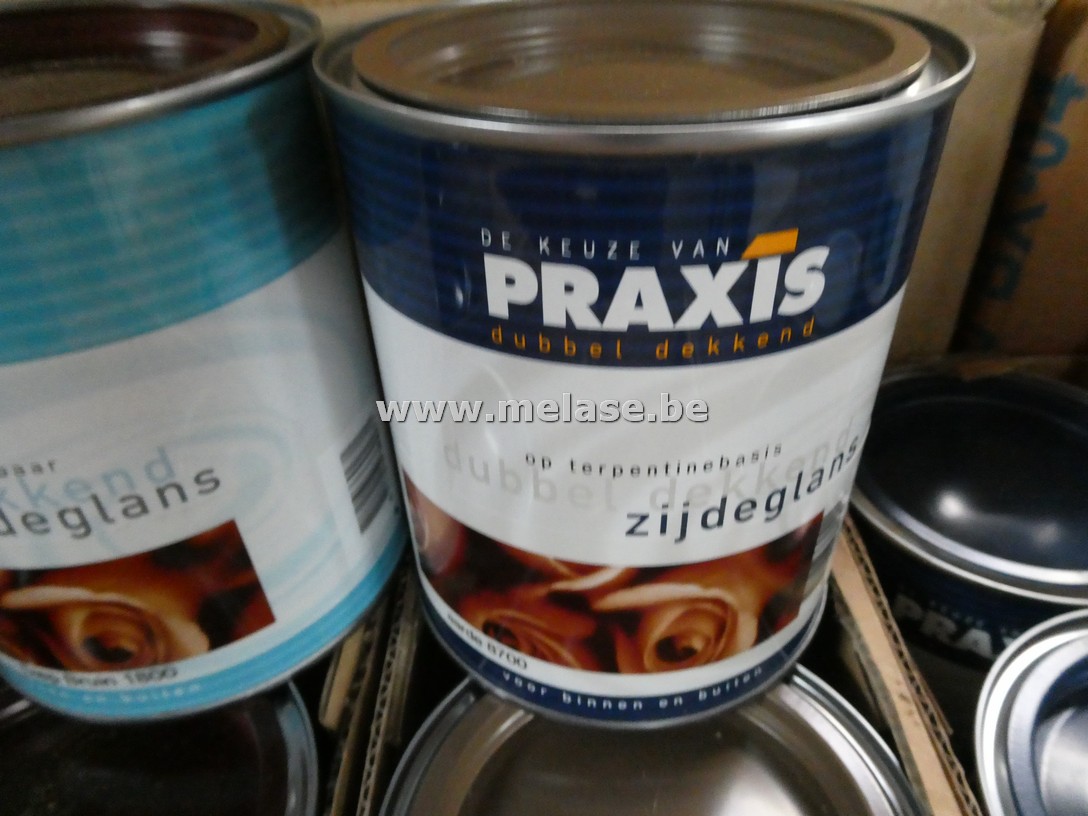 Zijdeglanslak "Praxis"