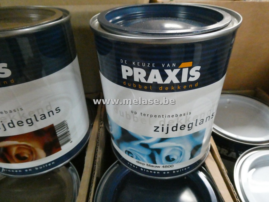 Zijdeglanslak "Praxis"