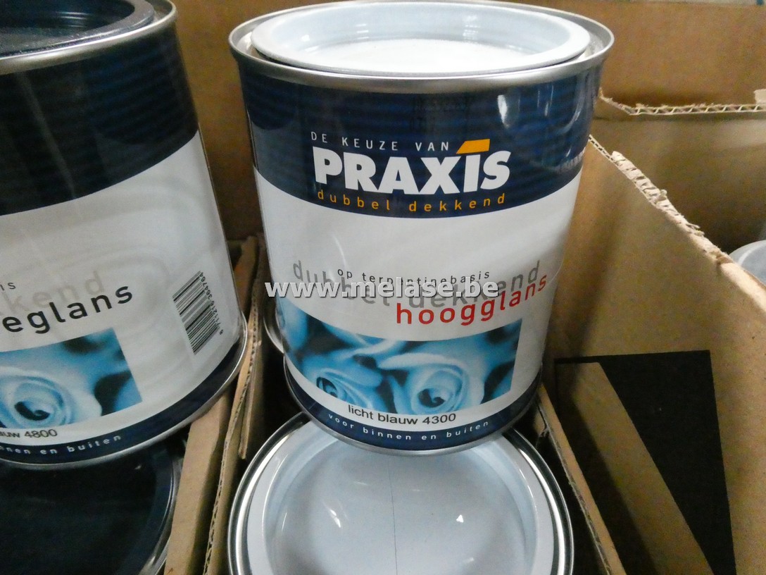 Hoogglanslak "Praxis"