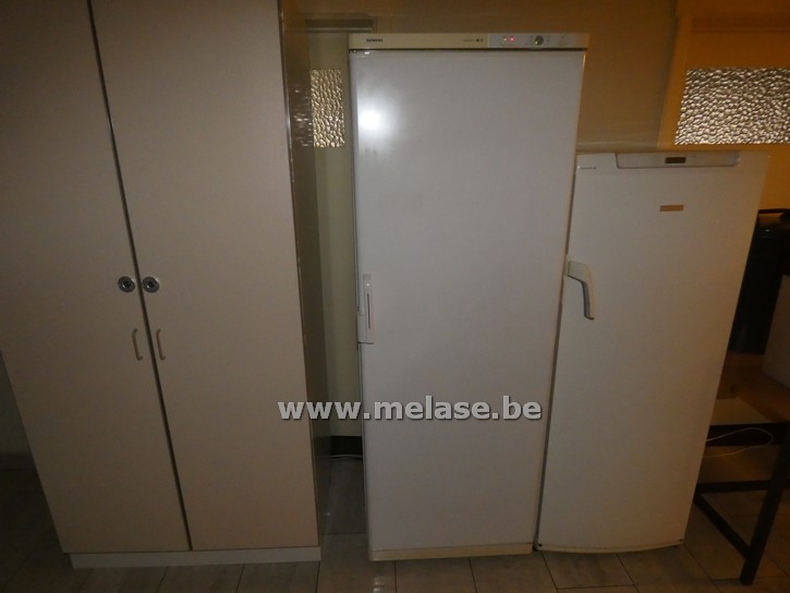 Diepvries "Siemens"