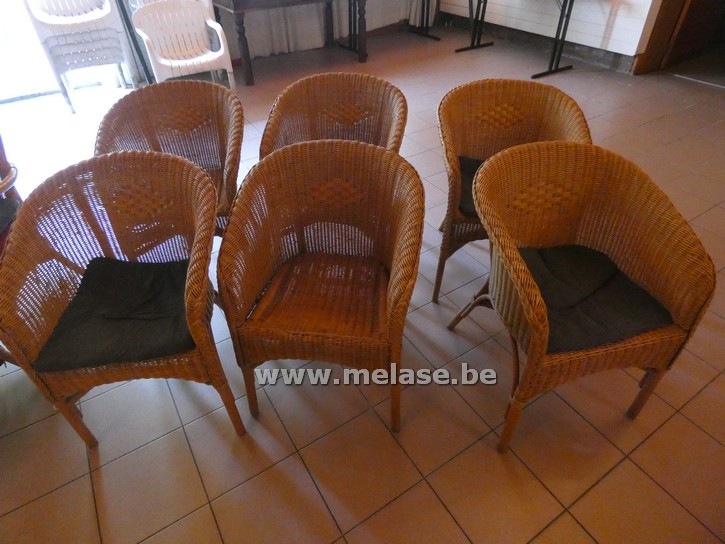 Rieten stoelen "lage ronde rug"