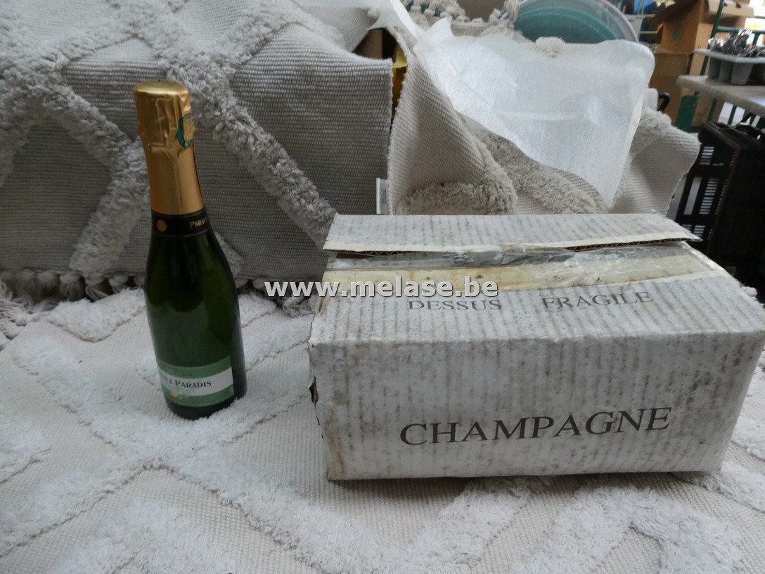 Champagne "Nicolo & Paradis"