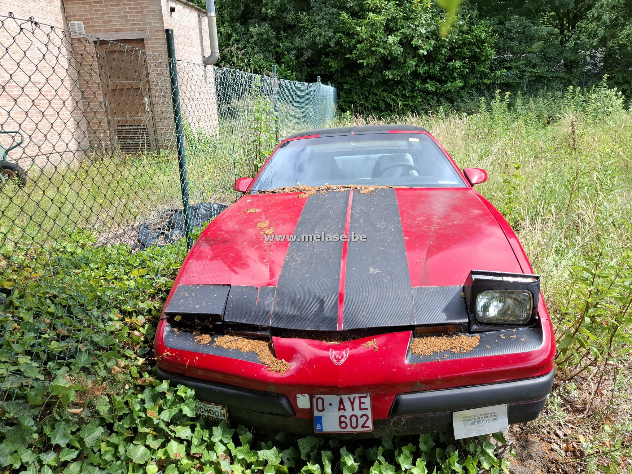 Pontiac Firebird