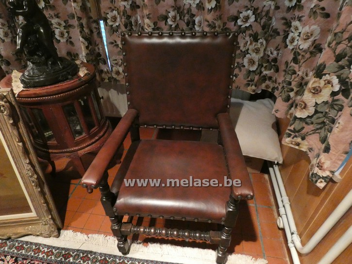 Lederen kasteelstoelen