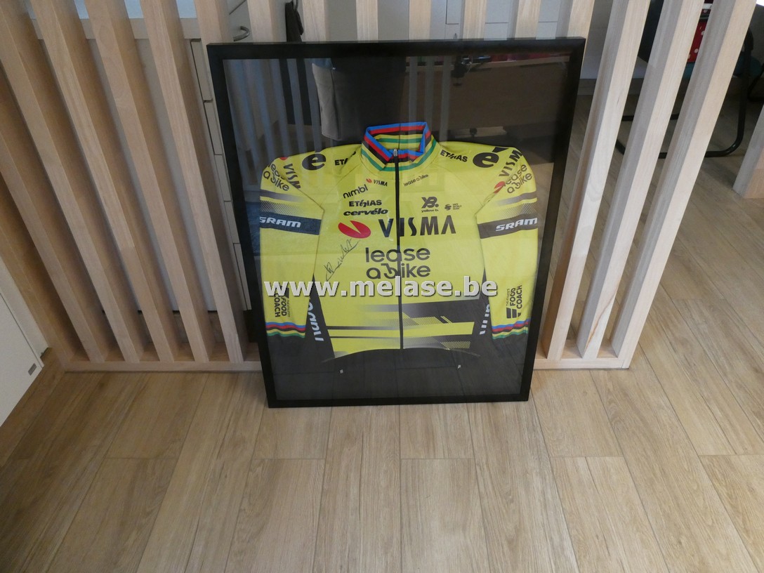 Gesigneerd wielertruitje van Wout Van Aert